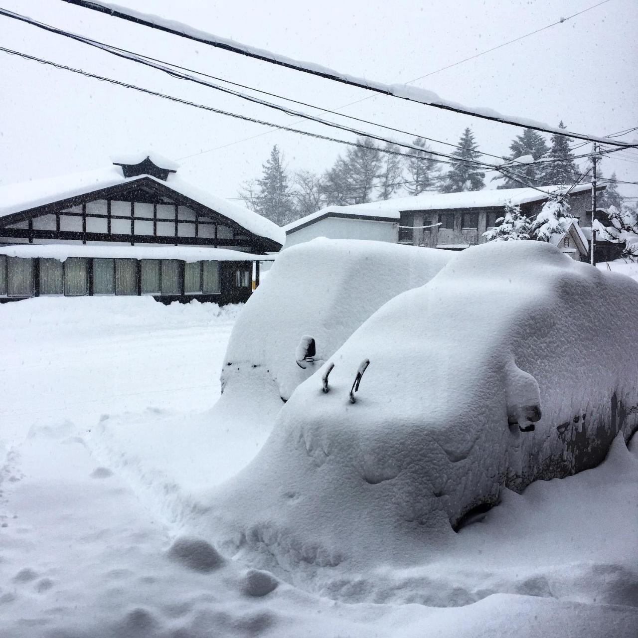 Auberge de jeunesse Hakuba Cortina Backpackers à Otari Extérieur photo