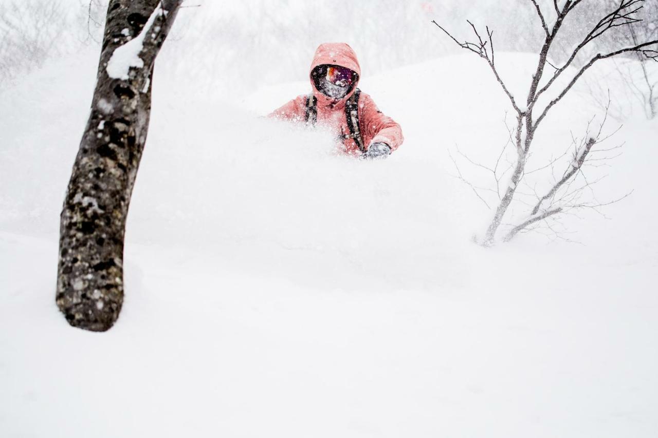 Auberge de jeunesse Hakuba Cortina Backpackers à Otari Extérieur photo